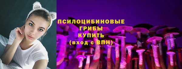 ECSTASY Медногорск