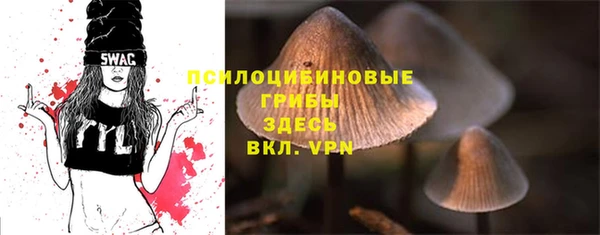 дмт Белая Холуница