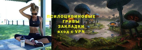 ешки Медвежьегорск