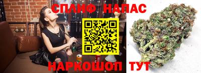 метадон Будённовск