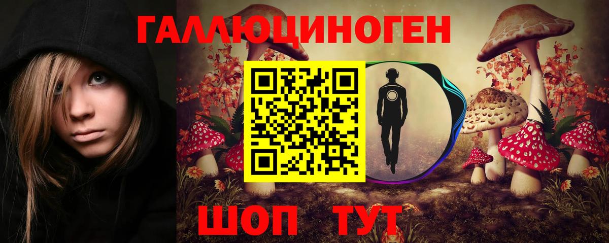Иваново  Псилоцибиновые грибы MAGIC MUSHROOMS  Вход с VPN  Псилоцибиновые грибы Psilocybine cubensis 