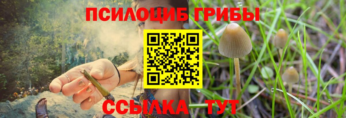 Галлюциногенные грибы Magic Shrooms  Псилоцибиновые грибы Cubensis  Иваново 